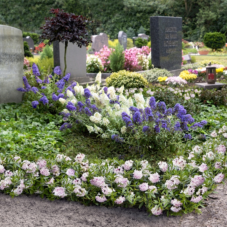 Nugget by Bloombux® - ein Blütentraum im Sommer auf dem Grab
