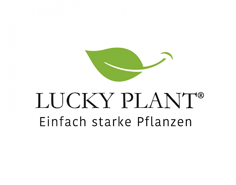 LUCKY PLANT® Logo