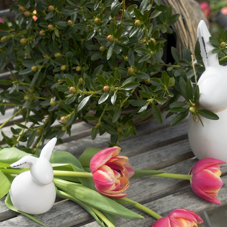 Ein farbenfroher Blickfang – rote Tulpen und Osterhasen zusammen mit Bloombux®