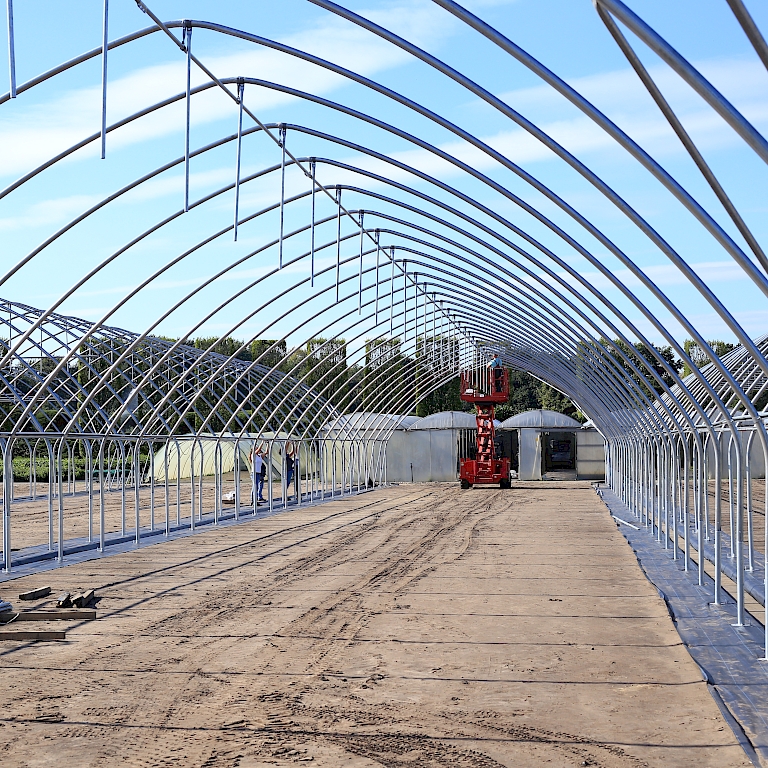 Aufbau der neuen Gladiator-Tunnel von Haygrove bei Behrens Jungpflanzen