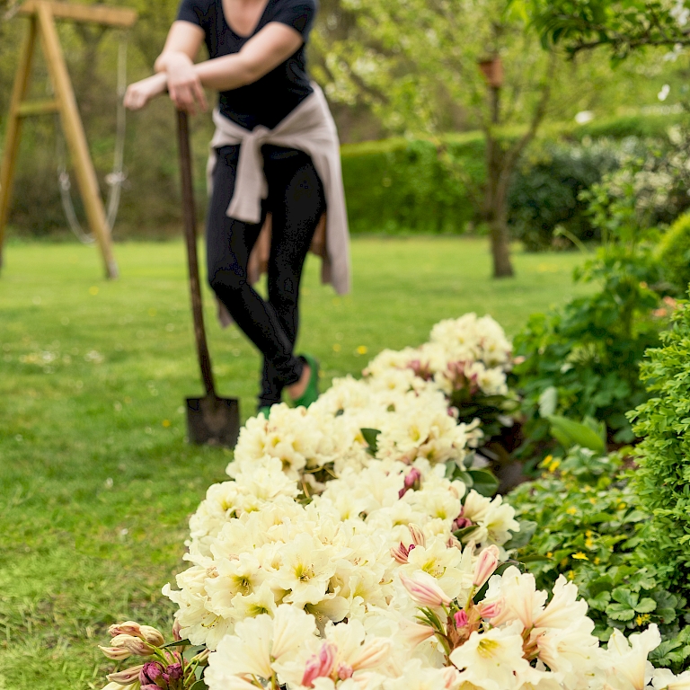 Ob romantisch-verspielt oder schlicht-elegant - die INKARHO®-Dufthecke versteht sich mit jedem Gartenstil bestens