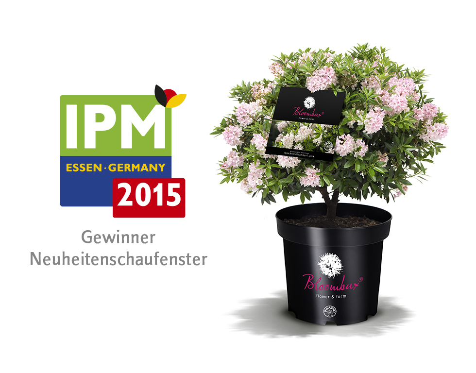 INKARHO® Bloombux® Gewinner Neuheitenschaufenster, IPM Essen 2015